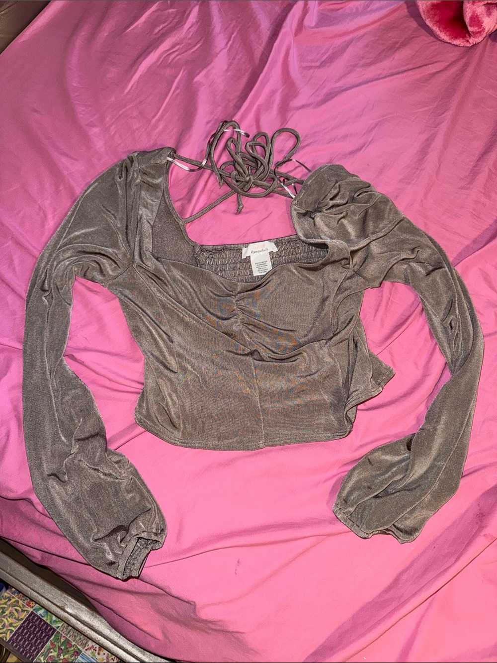URBAN Romantics Shimmery Taupe Long Sleeve Crop Top